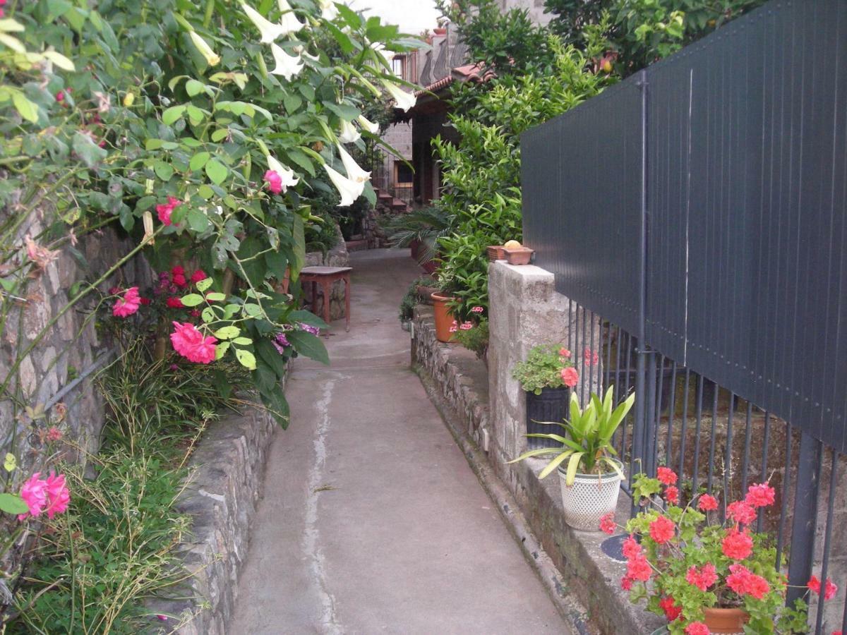 B&B L'Arcobaleno Sorrento Eksteriør billede