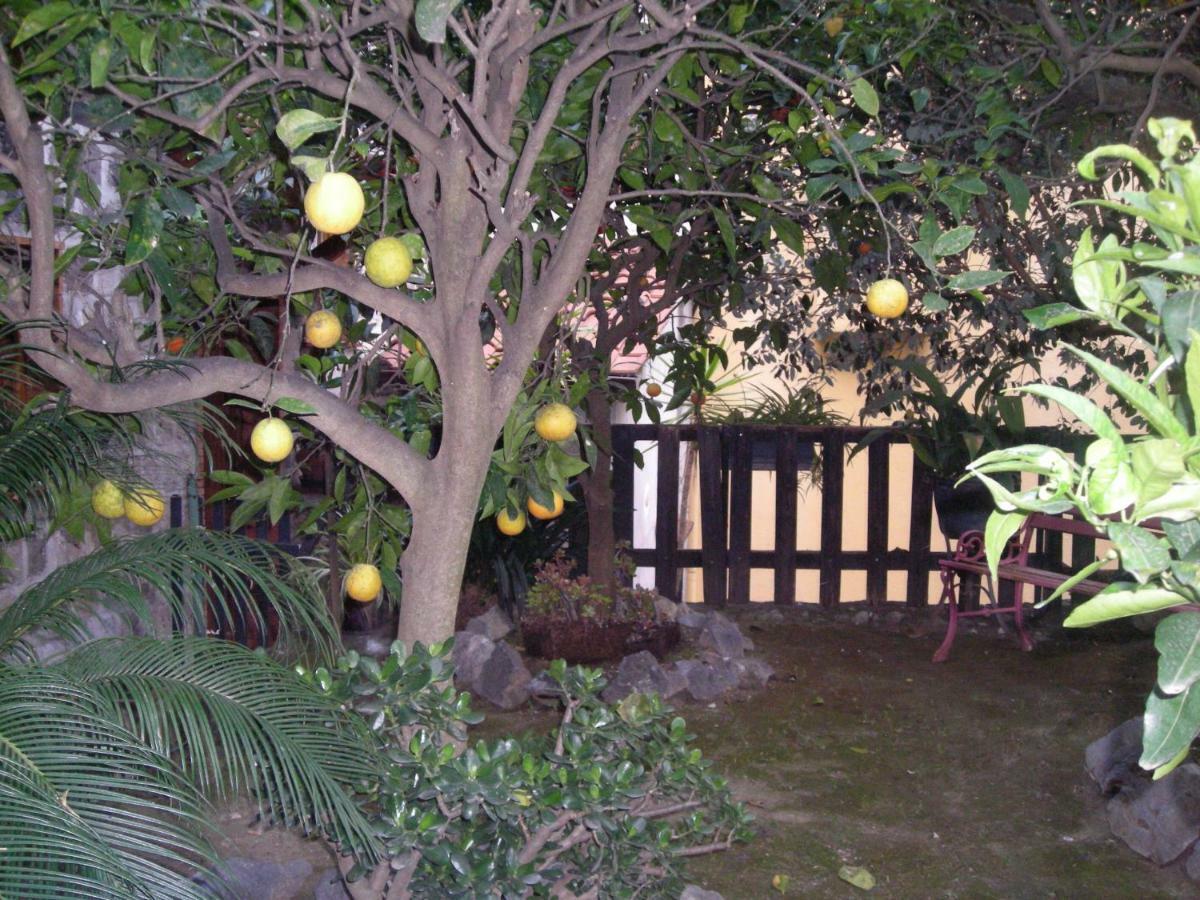 B&B L'Arcobaleno Sorrento Eksteriør billede