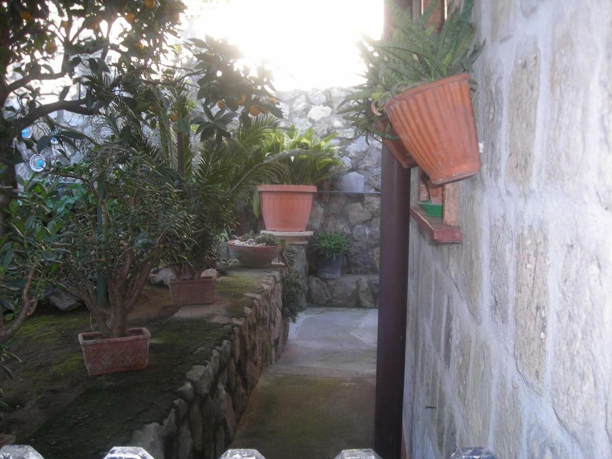 B&B L'Arcobaleno Sorrento Eksteriør billede