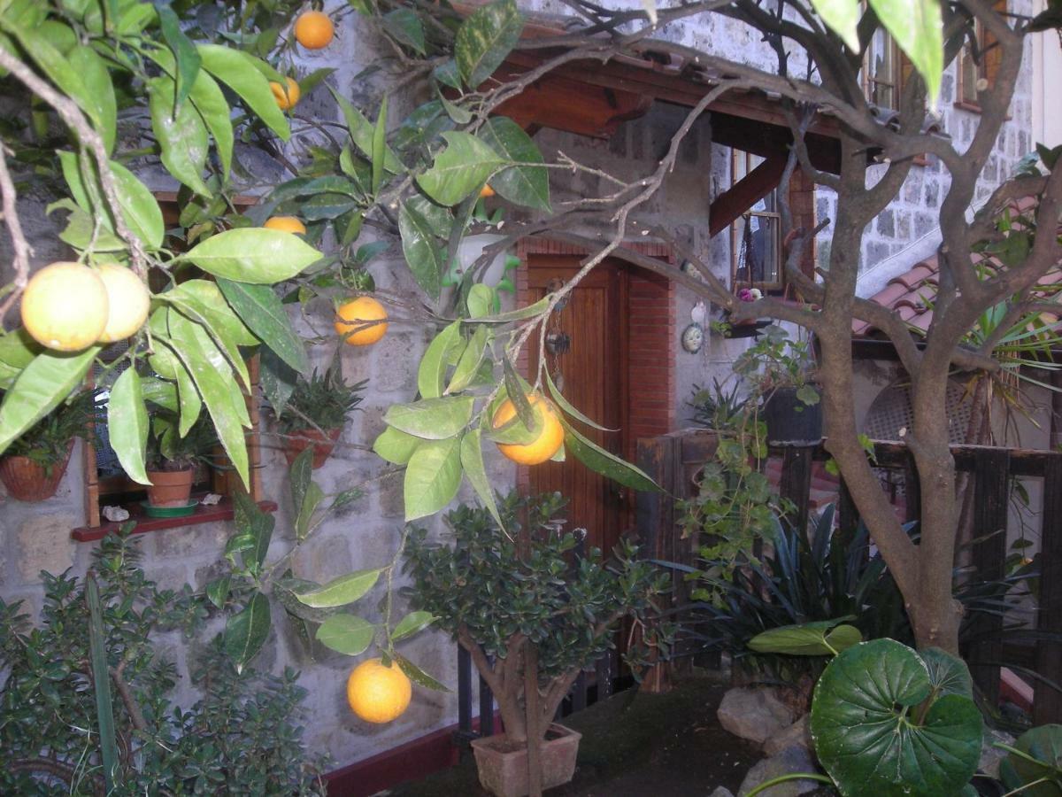 B&B L'Arcobaleno Sorrento Eksteriør billede