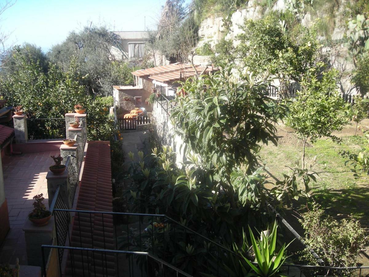 B&B L'Arcobaleno Sorrento Eksteriør billede
