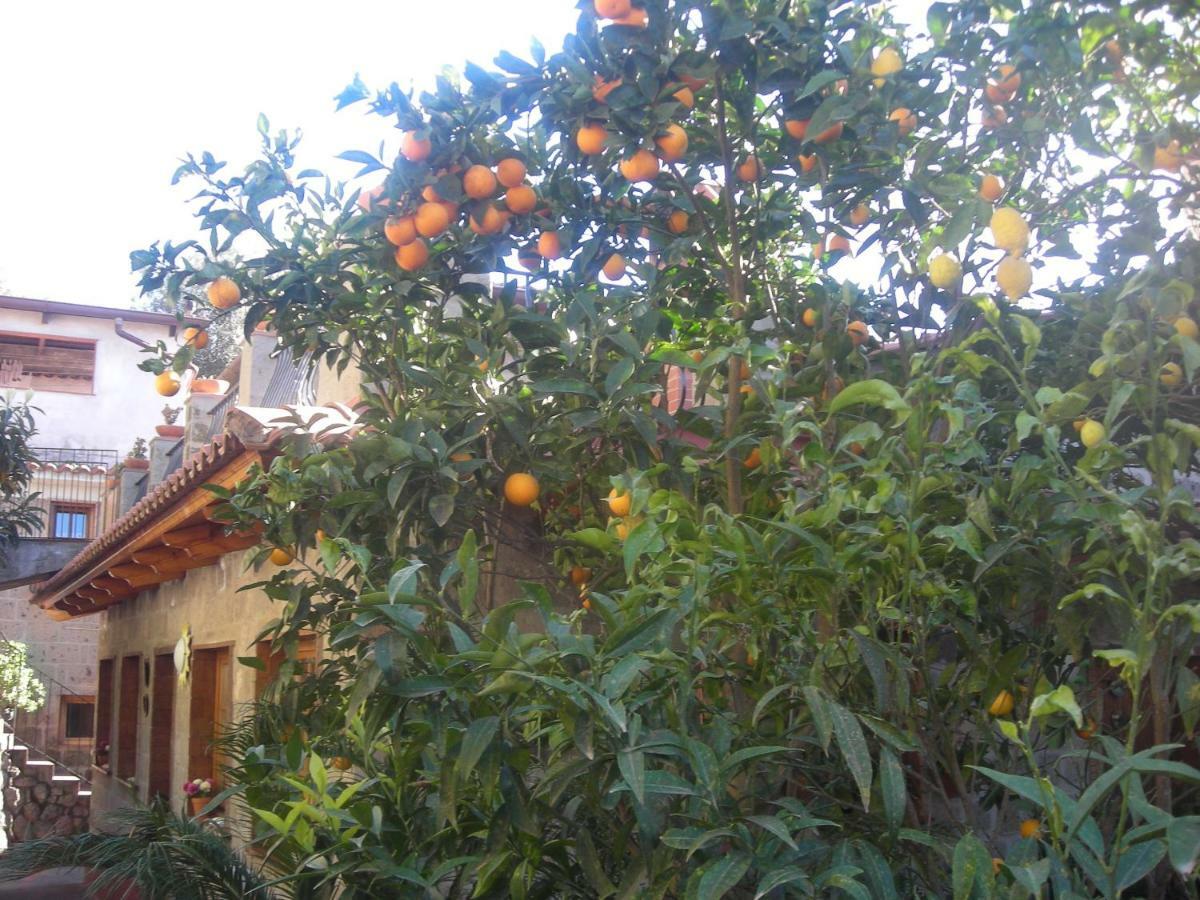 B&B L'Arcobaleno Sorrento Eksteriør billede