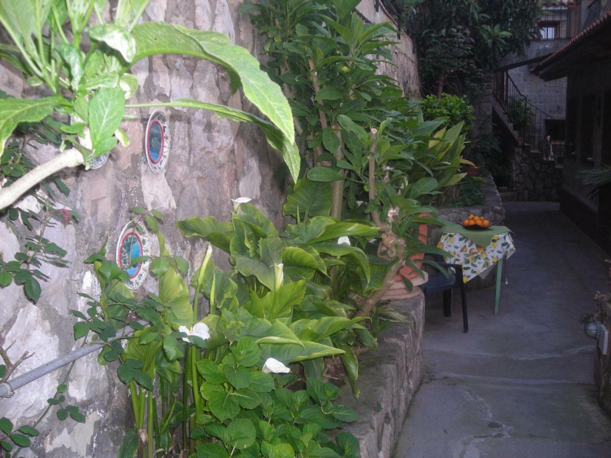 B&B L'Arcobaleno Sorrento Eksteriør billede