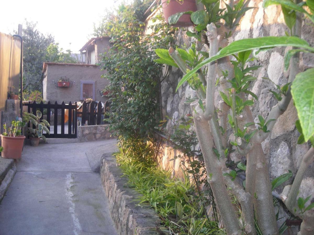 B&B L'Arcobaleno Sorrento Eksteriør billede