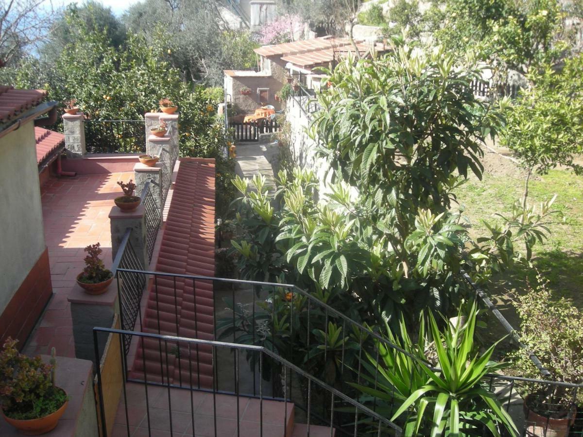 B&B L'Arcobaleno Sorrento Eksteriør billede